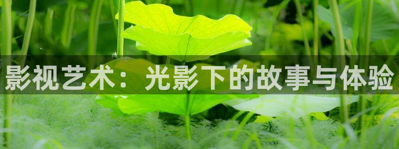 亚洲天堂影院网