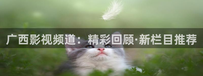 电影天堂最新网址