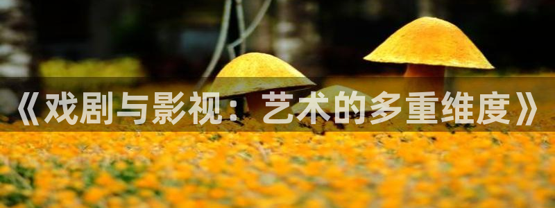 天堂影视蓝光网